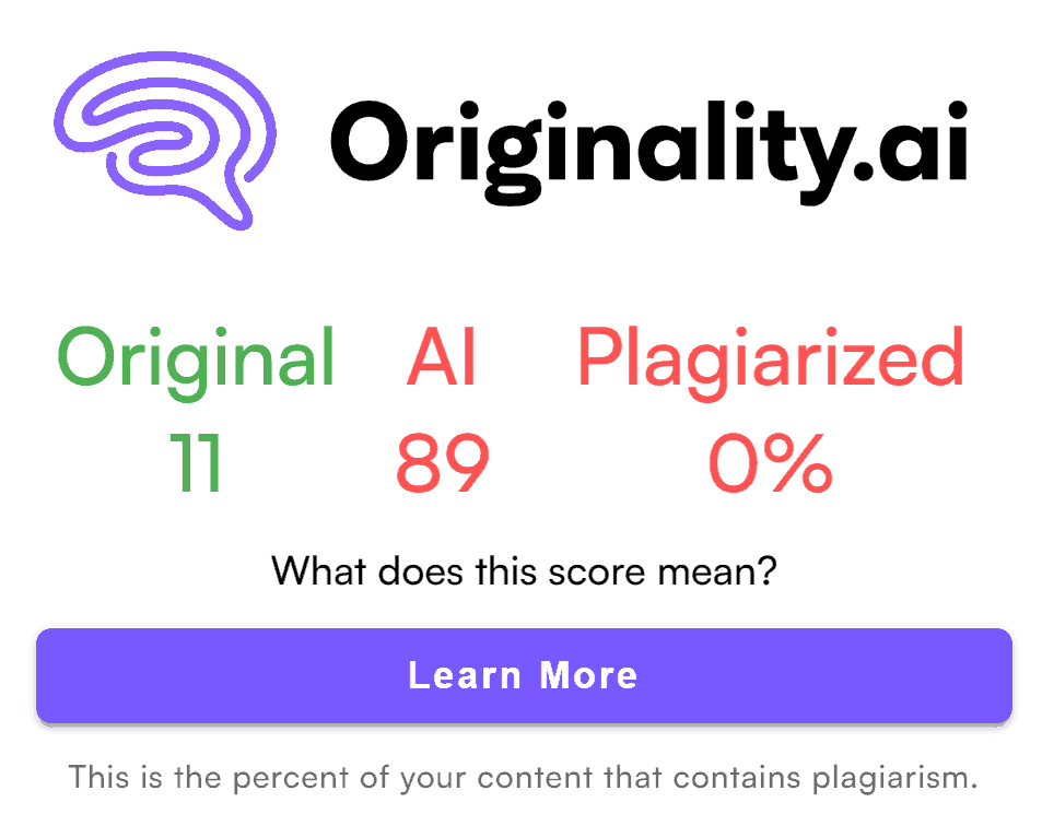 Originality AI short report from Google docs